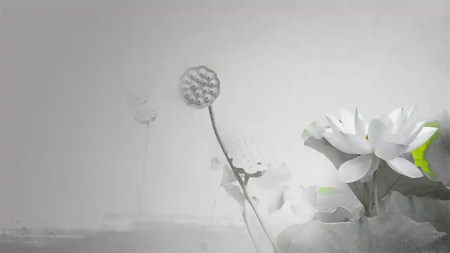 夏日清新唯美荷花古典中国风水墨画图片桌面壁纸