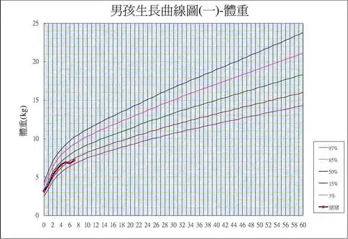 20071028出生 体重:4000公克身高:49公分 男孩生长曲线图(一)-体重 25