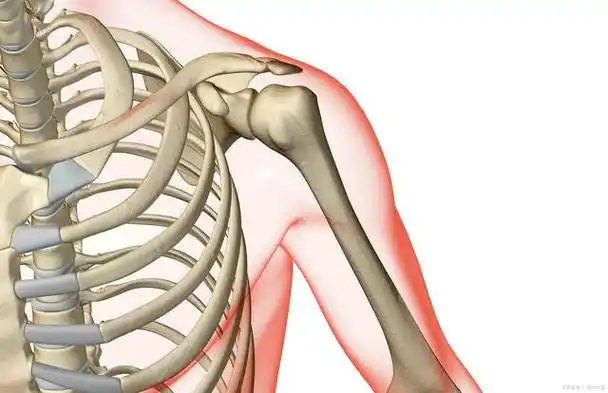 勤练一个动作3分钟,改善弯腰驼背,打开肩关节,预防肩周炎