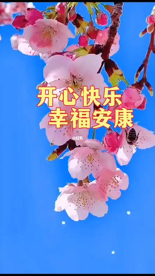 开心快乐幸福安康