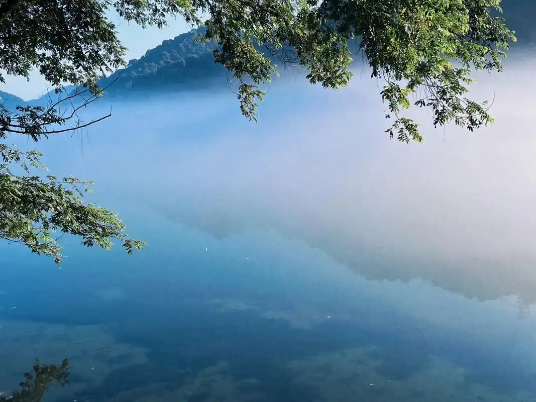 有山有水有树有阳光 跟画一样 #雾漫小东江 #东江湖美景 # - 抖音