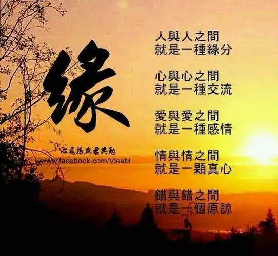 最近看清了现实,所谓的人际交往就是虚伪的互相利用,我真的好难接受