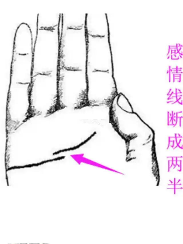 手纹中的感情线出现断裂就肯定会离婚吗?请看下面分析