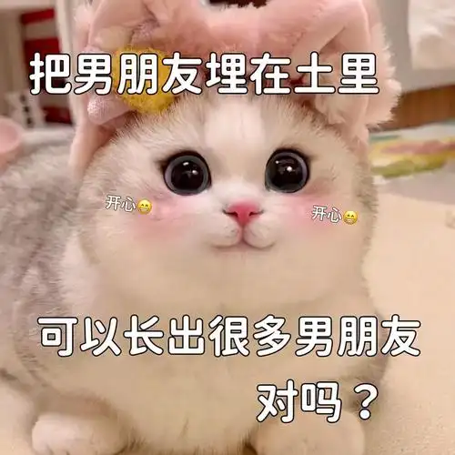 进入知乎