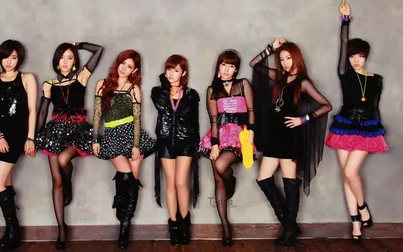 韩国女团tara最新图片壁纸35