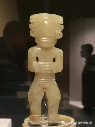 5厘米来源:民间征集收藏地:上海博物馆石家河文化最早发现时被称为