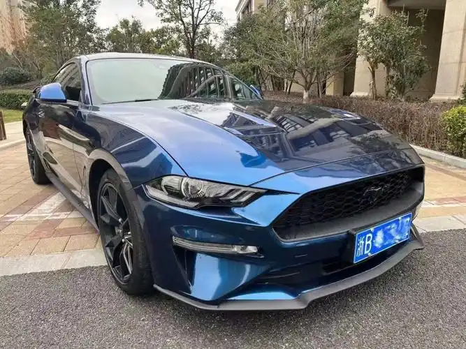 福特 mustang  2020款 2.3l ecoboost 黑曜魅影特别版图片