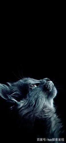 好看的iphone x高清壁纸 | 好看的锁屏壁纸