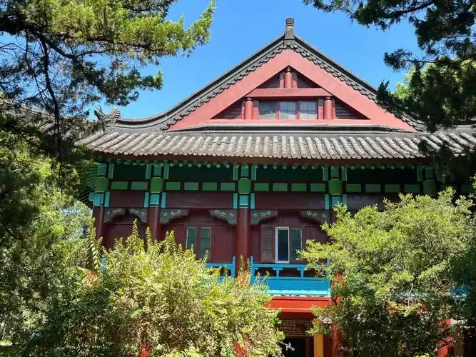 南师大美死谁了我不说01#南京师范大学  #南京师范大学随园校区