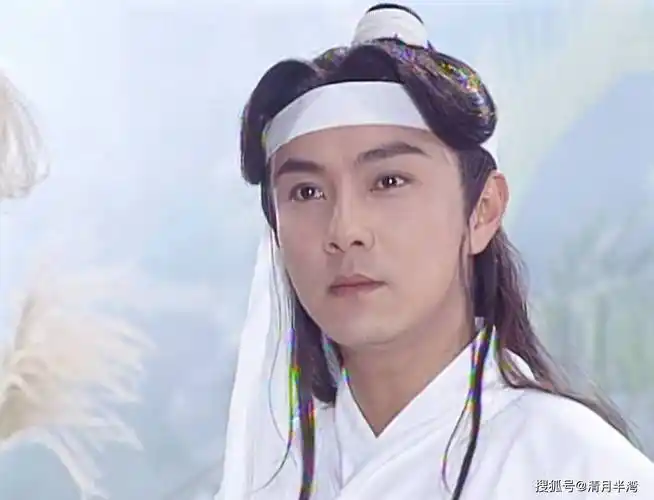 三庭五眼分布均匀,五官标致没有瑕疵,张卫健的长相是无可挑剔的清贵