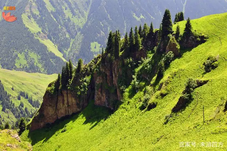 草原周围可以媲美阿尔卑斯山的天山风光,这里生长的是高山草甸和树木.