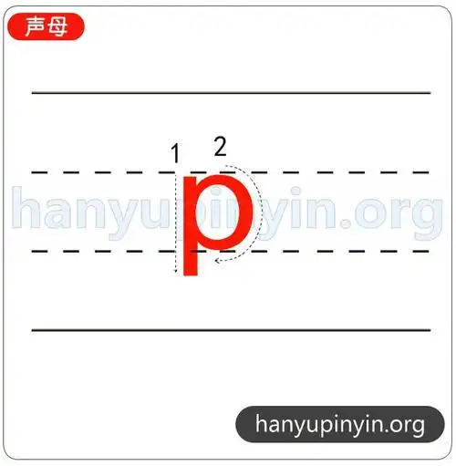 声母p的笔顺和笔画数