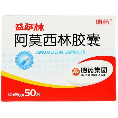 哈药 阿莫西林胶囊 0.