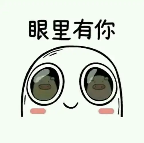 眼里有你_眼里表情