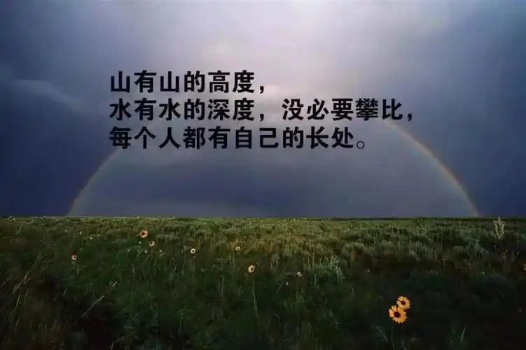 8字短句精辟人生感悟,感悟人生精辟短句八个字