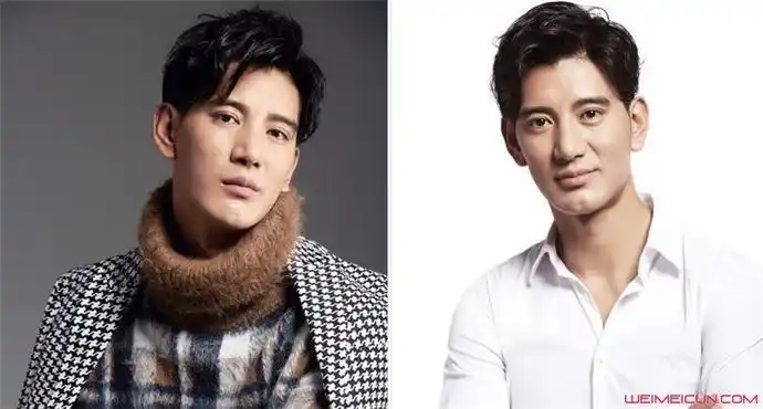 蒲巴甲和王力宏的关系 两人长太像撞脸了