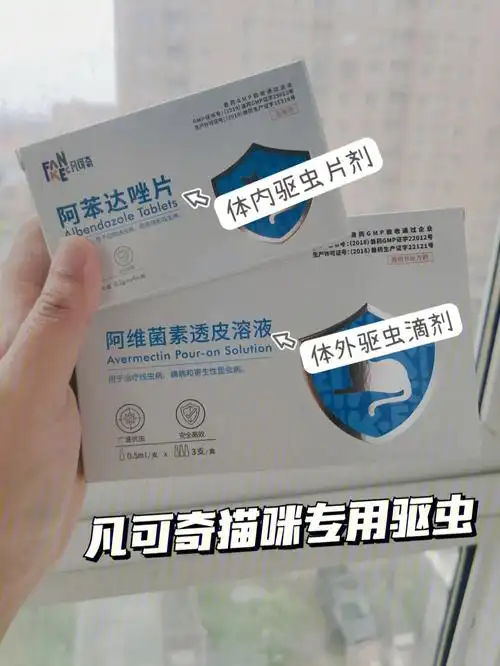 捡到一只小流浪第一步先用凡可奇驱个虫