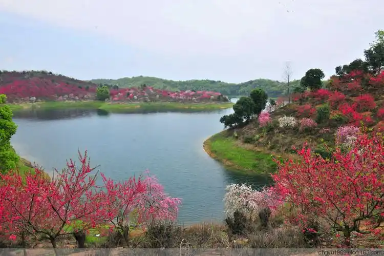 庐山西海花源谷桃花烂漫山水间