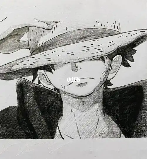 海贼王  #路飞  #女帝材料:碳笔