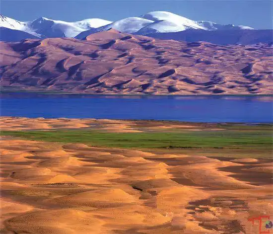 阿尔金山:死亡与美丽同行的生命禁区(2)_风景摄影_图片之家摄影作品