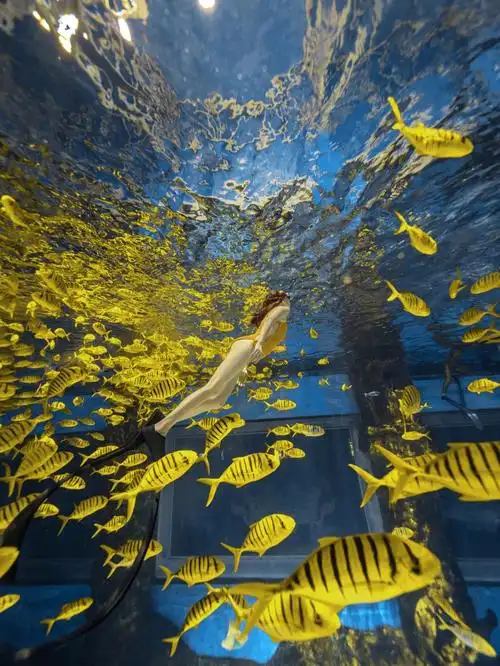 我的年度最佳照片三亚自由潜77水下摄影