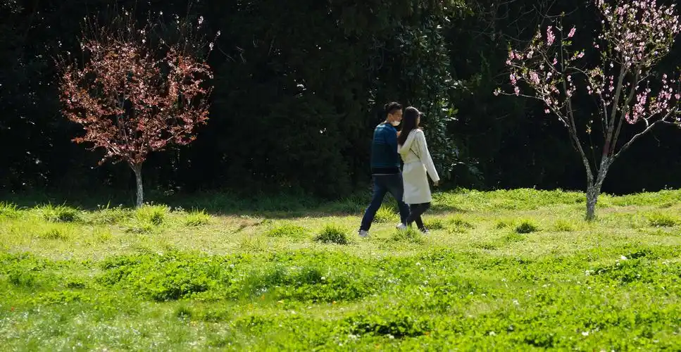 两位小情侣在春色中相依相偎.