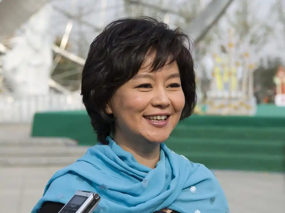 央视主播鞠萍的个人资料简介(27岁做妈妈,有过一次婚姻,携子再婚也幸