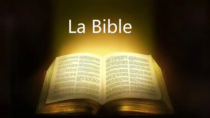 这一辈子至少仔细读一遍吧(这里针对非基督教信徒而言),那就是《圣经