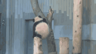 你生气的样子好可爱表情包 - 你生气的样子好可爱微信表情包 - 你生气