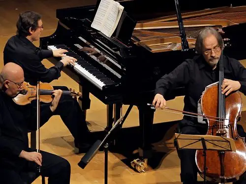 ×   除了弦乐四重奏之外,钢琴三重奏以及为弦乐与钢琴而作的