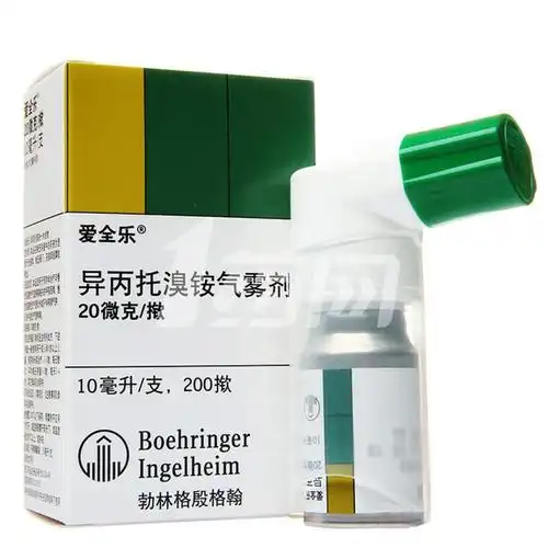 异丙托溴铵气雾剂 20μg*200揿*10ml/支