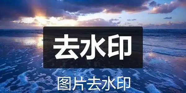 图片去水印下载-图片去水印正式版下载[电脑版]-pc下载网