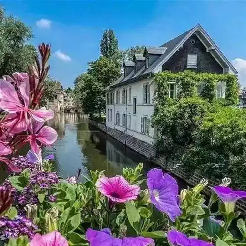 28张微信风景头像,有花有草有风景,太好看了_相关_标题_整理