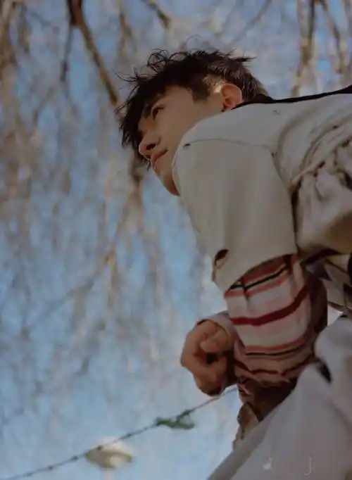 易烊千玺ins里关注的这些猫一只比一只可爱