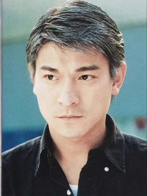 1999年最卖座的10部港片刘德华上榜3部