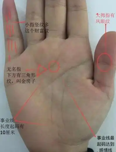 女右手婚姻线断开是怎么了,女士右手感情线断