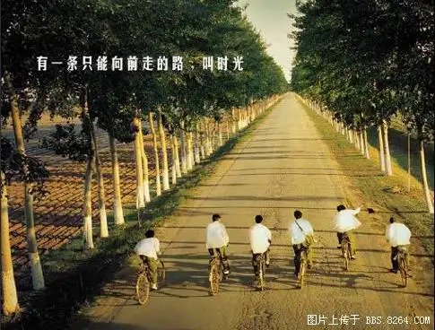 我们过去的时光