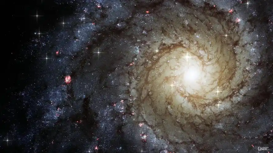 10bit,x265 10bit 播放器,压制x265 10bit教程,1080p x265 10bit,x265