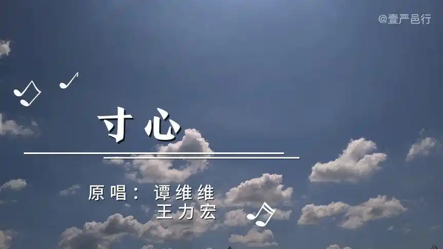 谭维维王力宏演唱的电视剧《大决战》的主题曲:寸心