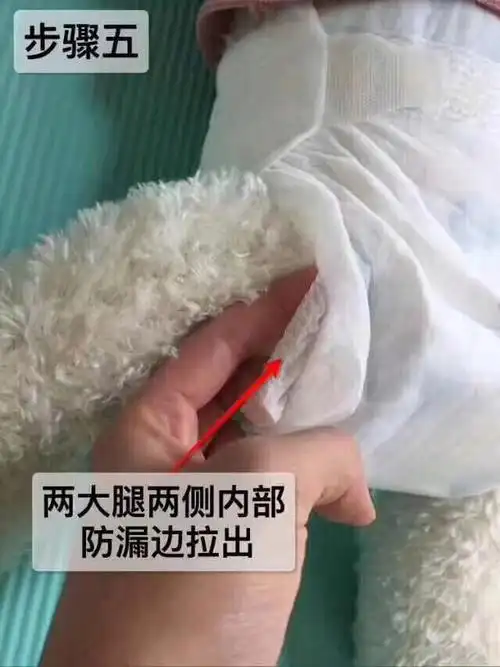 纸尿裤正确穿戴方法