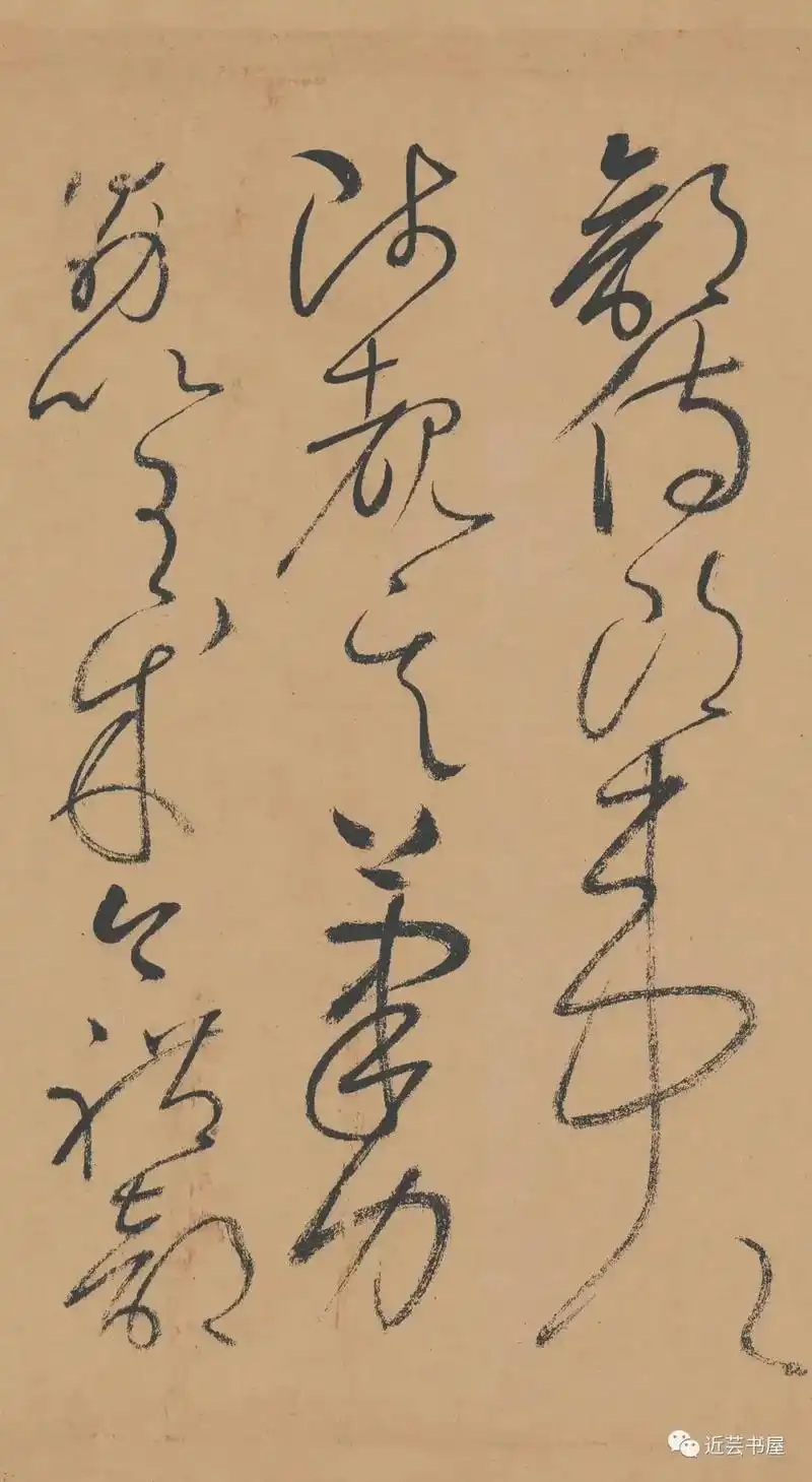 字藏真,僧名怀素,俗姓