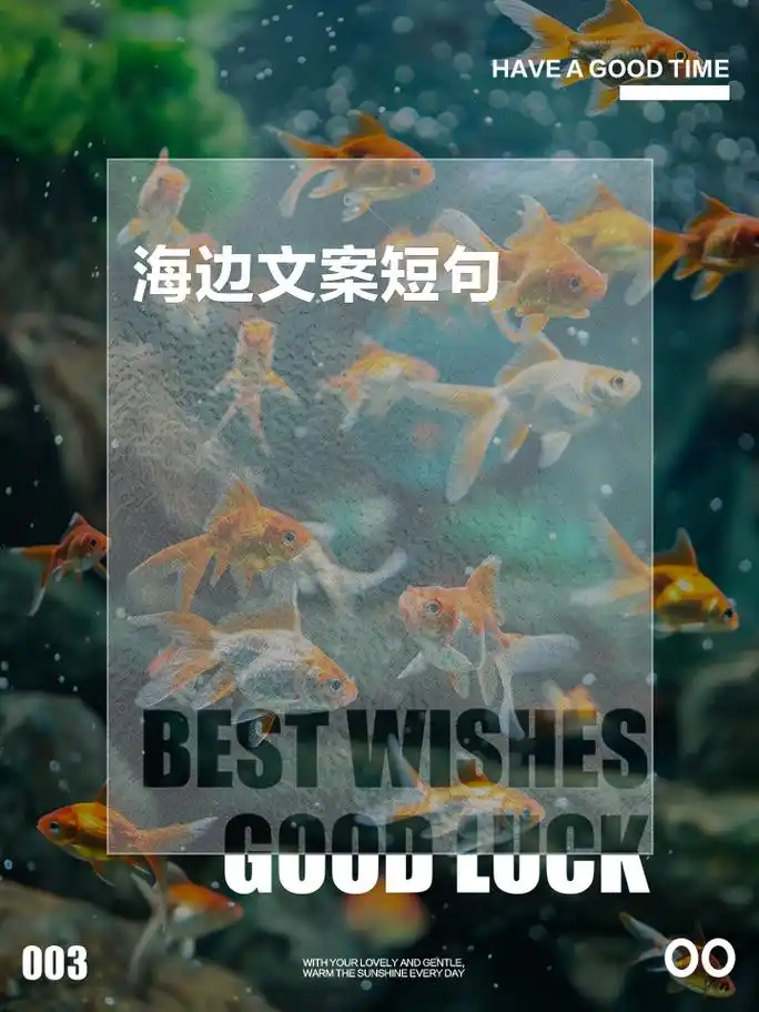 海边文案短句 1,总有一种期待,是关于海的另一边 2,以夏日的名义,与你