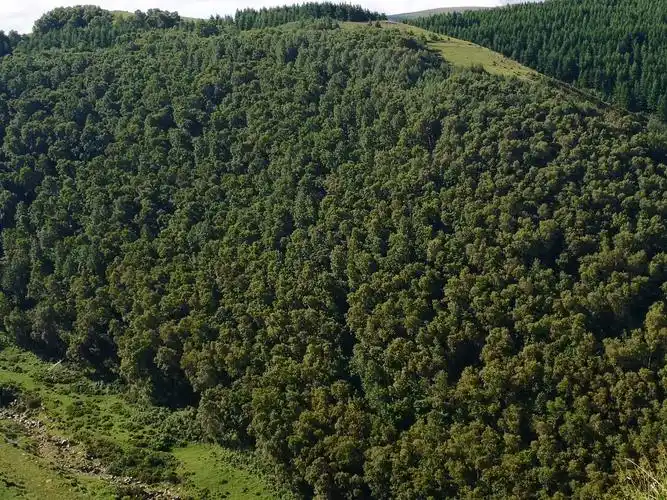 高山草甸—天然氧吧—秀美白银山!