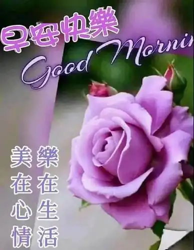 7张有创意的夏天早安祝福语文字图片 微信群发温馨的早上好问候短信