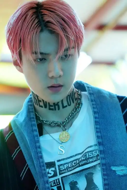 吴世勋出演电影海盗2