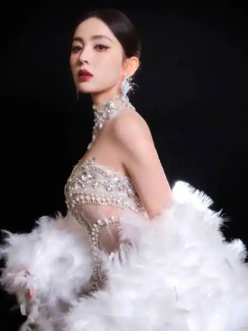 娜扎今天也太美了吧!羽毛透视礼服造型太上头!_状态_超神