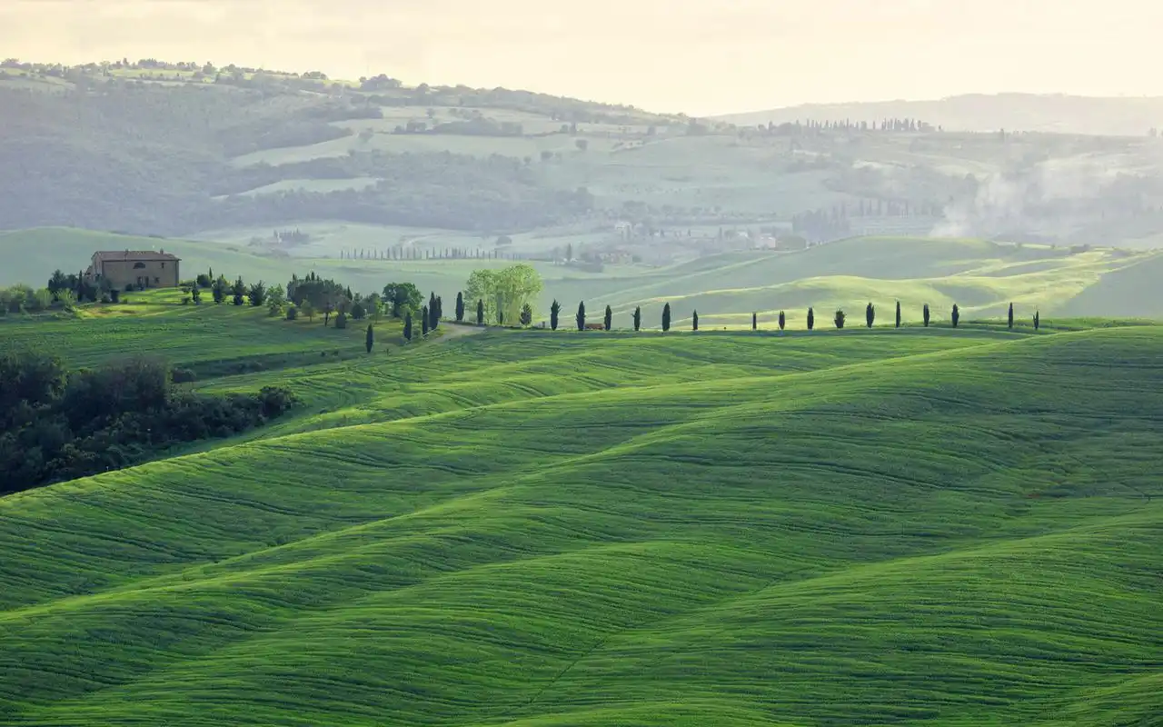 绿色护眼草地屏保高清电脑桌面主题壁纸下载高清大图预览1920x1200_风