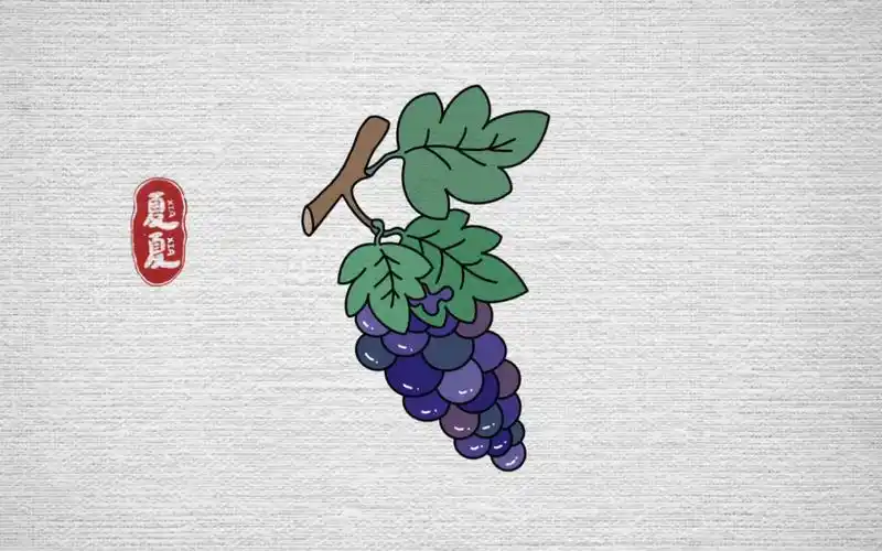 简笔画葡萄