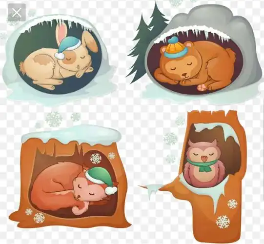 天虹幼儿园四班周一分享《冬眠的动物》(蓝组)