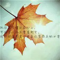 低调简约头像安静_微信头像图片大全